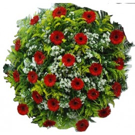 Coroa Fúnebre 24 Gérberas