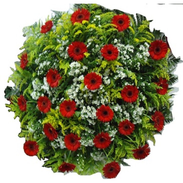 Coroa Fúnebre 24 Gérberas
