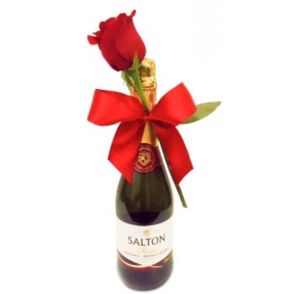 Salton com Rosa Vermelha