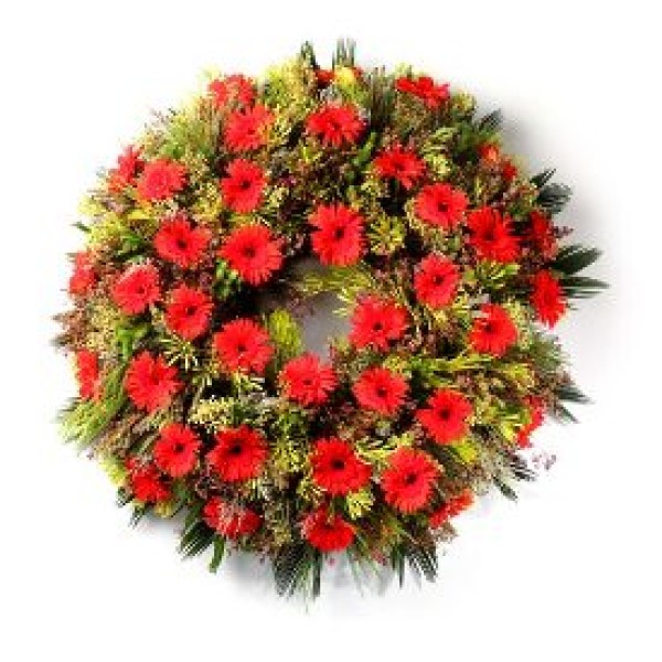Coroa Fúnebre 36 Gerberas