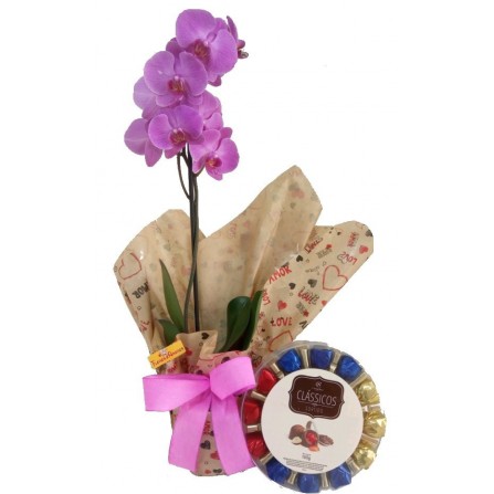 Orquídea Decorada+Bombons Cacacu Show