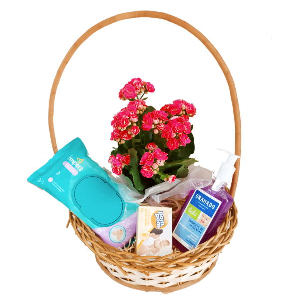 Cesta Maternidade Carinho 